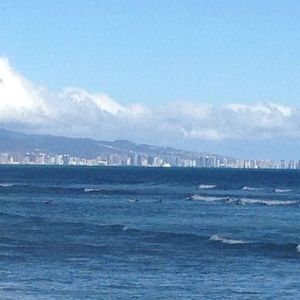 Meet your Posher, Bonnie